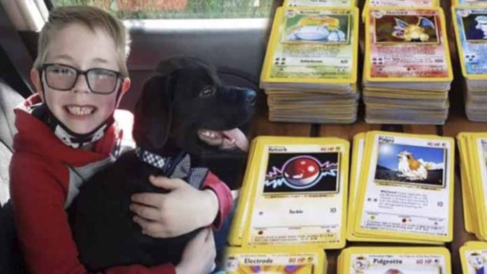 Niño de 8 años vende sus tarjetas de Pokémon para salvar la vida de su mascota