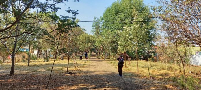 Piden preservar el Bosque Urbano Cosmos como Patrimonio de la Ciudad