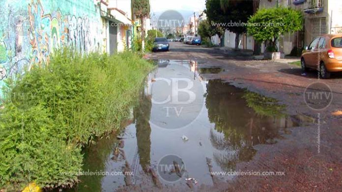 Vecinos de Prados Verdes preocupados por casos de Dengue en la zona