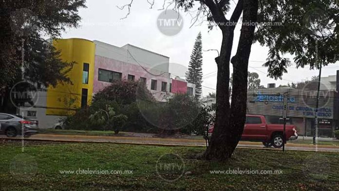 Lluvia derriba un árbol sobre avenida Camelinas