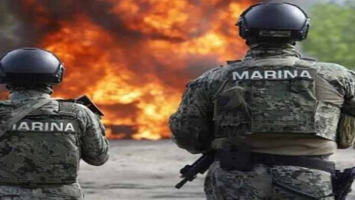 Queman más de media tonelada de Cocaína en Michoacán
