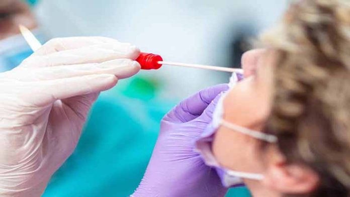 Anticuerpos de pacientes recuperados de Covid-19 podrían durar hasta 1 año