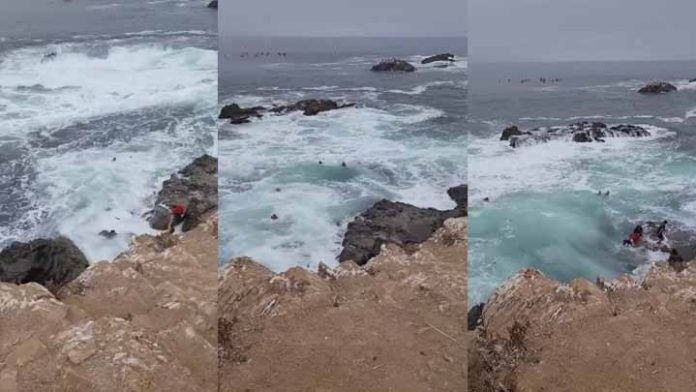 Por entrar a una zona restringida son arrastrados por las olas del mar