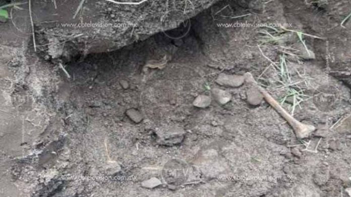 Localizan osamenta humana en las inmediaciones de la Bicentenario