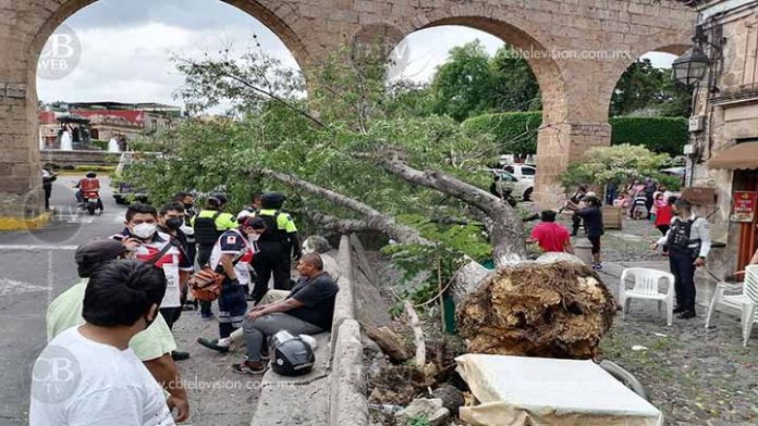 Se cae un árbol en el Acueducto de Morelia y lesiona a tres personas