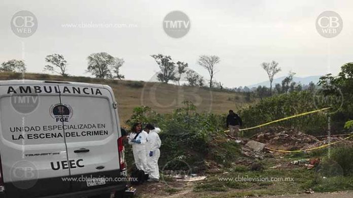 Hallan ocho ejecutados en Cotija