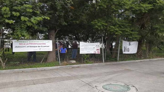 Presidente Municipal de Morelia sin actuar en defensa del bosque urbano de Cosmos