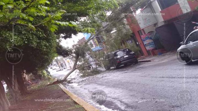 Lluvia deja afectaciones en Morelia, calles inundadas y ramas sobre Camelinas