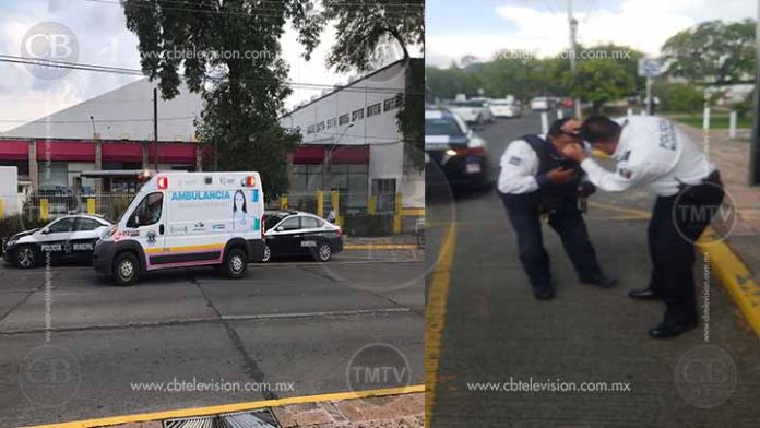 Una pareja termina en el hospital tras recibir más de 60 piquetes de abejas en Morelia