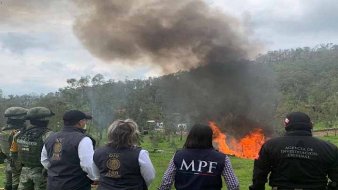 Incineran más de una tonelada de drogas en Michoacán