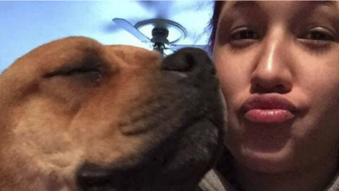 Iba a un refugio a adoptar una mascota encuentra a su amigo perruno que perdió hace 2 años