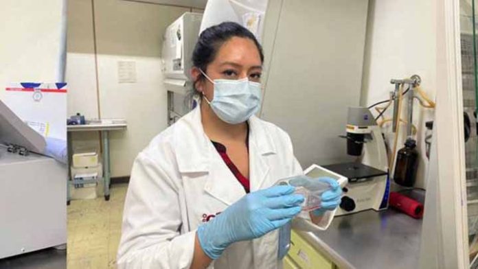 Científica mexicana desarrolla biofármaco con eficacia contra replicación del SARS-CoV-2