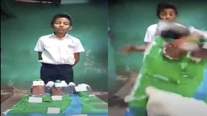 Gatito destruye maqueta de su dueño mientras exponía en clase