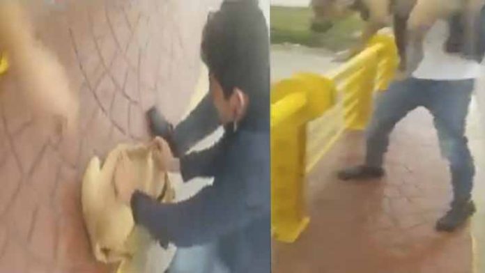 Captan a hombre lanzando a un perrito a un arroyo