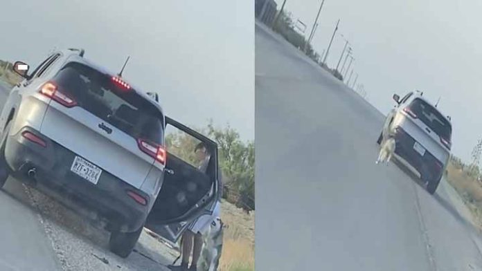 Hombre quería abandonar a su perro en la carretera y lo arrestan