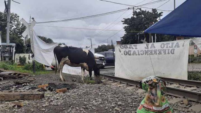 47 días de bloqueo en vías férreas en Caltzontzin, Uruapan