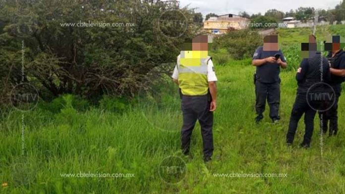 Se cae un árbol y mata una mujer ciclista en Uruapan