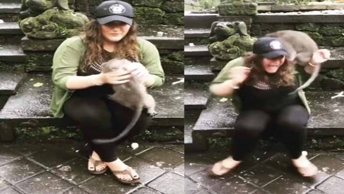 Joven que ahorcaba a un mono bebé para tomarse una selfie es atacada por la madre