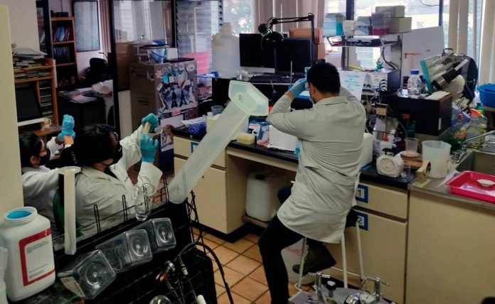 Cuatro Posgrados de la UMSNH, al Programa Nacional de Calidad de CONACyT