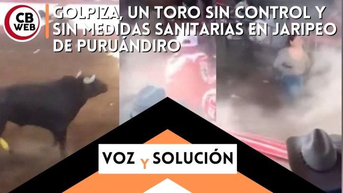 Golpiza, un toro sin control y sin medidas sanitarias en jaripeo de Puruándiro