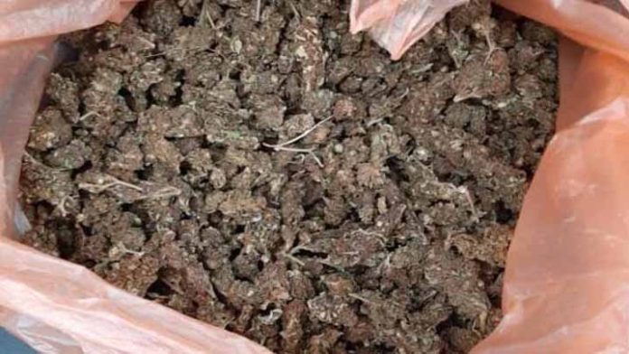 Caen tres con medio kilo de marihuana, en Morelia