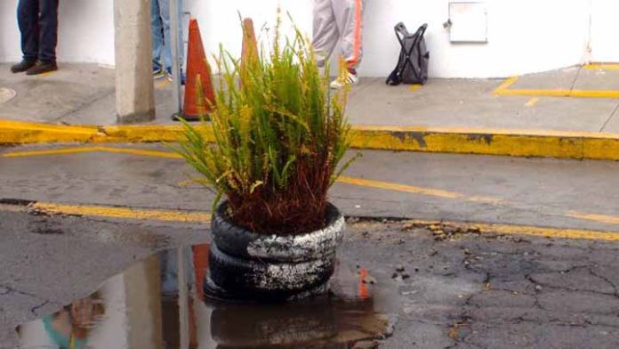 De los creadores de “cubrir hoyos con llantas” llegan las macetas sobre los baches en Morelia