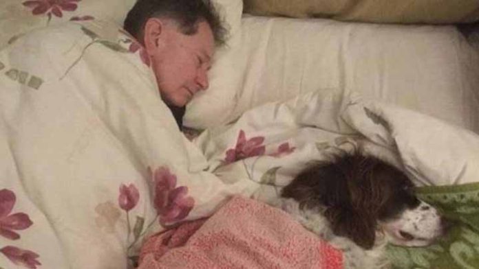 Se enfermó su perrito y toda la familia se turna para dormir con él