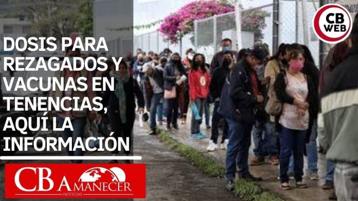 te informamos sobre la dosis para rezagados en tendencias