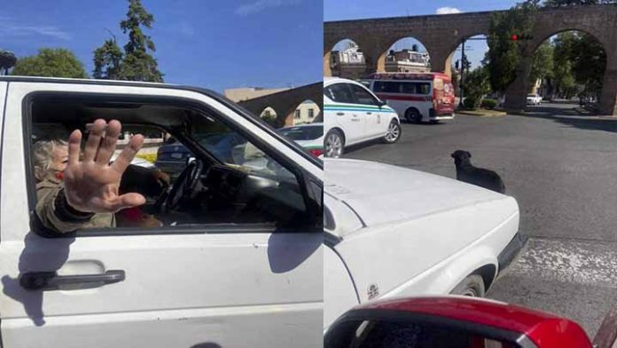 Denuncian a pareja por traer a su perrito corriendo detrás de su coche desde Indaparapeo