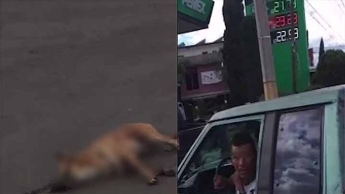 Denuncian a hombre arrastraba a un perrito amarrado a su camioneta