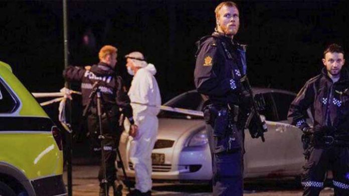 Hombre armado con arco y flechas causa varios muertos en Noruega