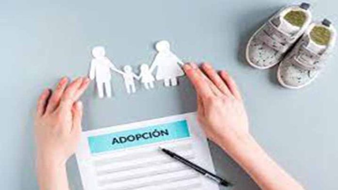 En Michoacán no han habido adopciones durante el 2021, hay 36 solicitudes pendientes