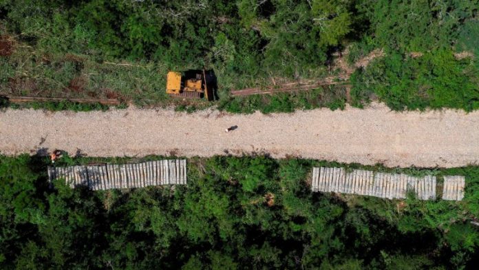 tren-maya-peninsula-mexico