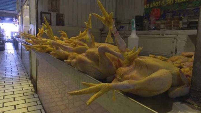 Comerciantes de pollo se ven esperanzados ante fiestas navideñas
