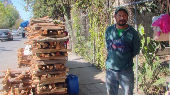 Vendedores de leña; oficio apunto de desaparecer