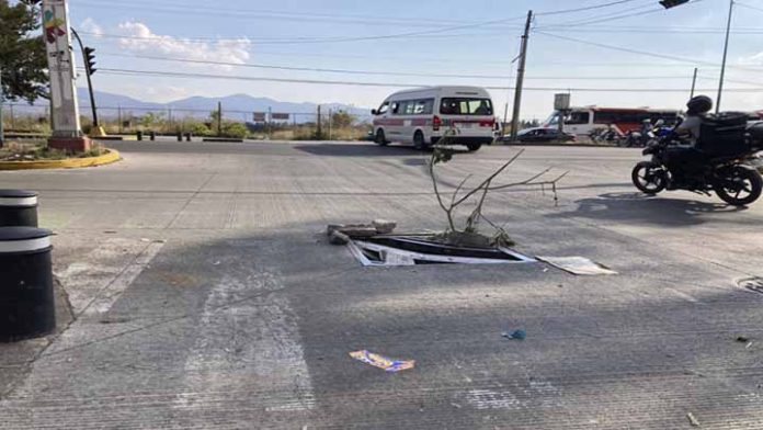 Convierten alcantarillas en macetas en la Madero Poniente