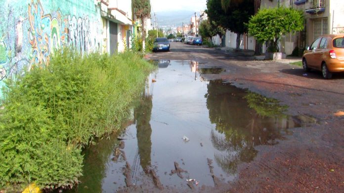 Conoce las 57 colonias de Morelia endémicas para el dengue