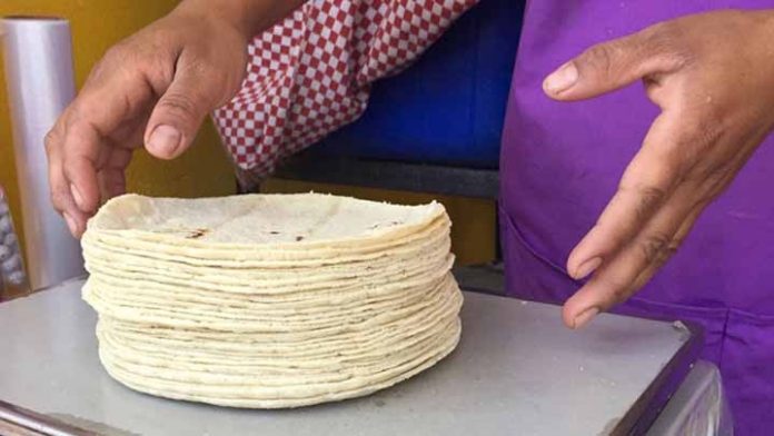 Alcanza la tortilla precios históricos en México; más de 20 pesos el kilo