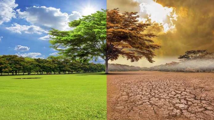 Situación ambiental en Michoacán podría provocar tormentas devastadoras en próximos años