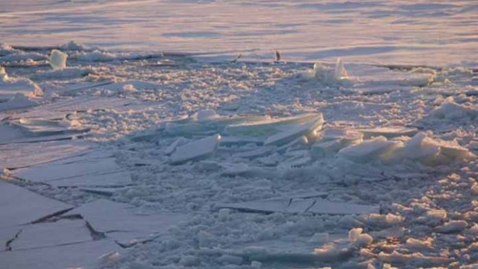 En peligro la Última Área de Hielo del Ártico