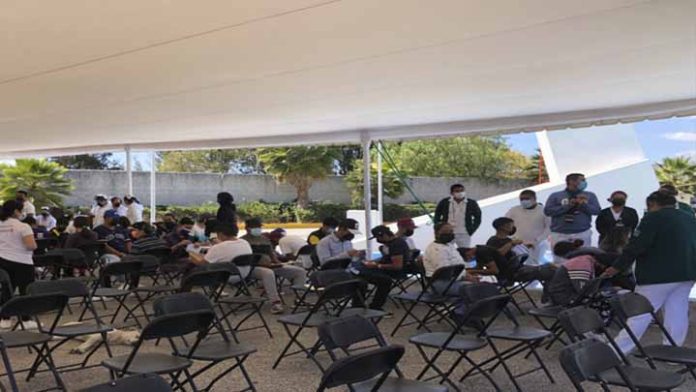 6.5 millones de vacunas anticovid aplicadas en Michoacán