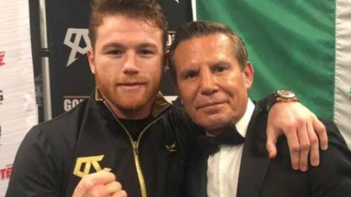 El Canelo Álvarez y Julio César Chávez darán clase masiva de boxeo