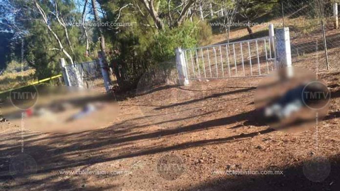 Abandonan a cuatro personas ejecutadas en Tingüindín