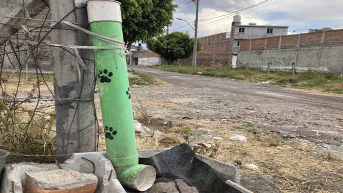 Más morelianos adoptan la idea de los dispensadores para perritos callejeros