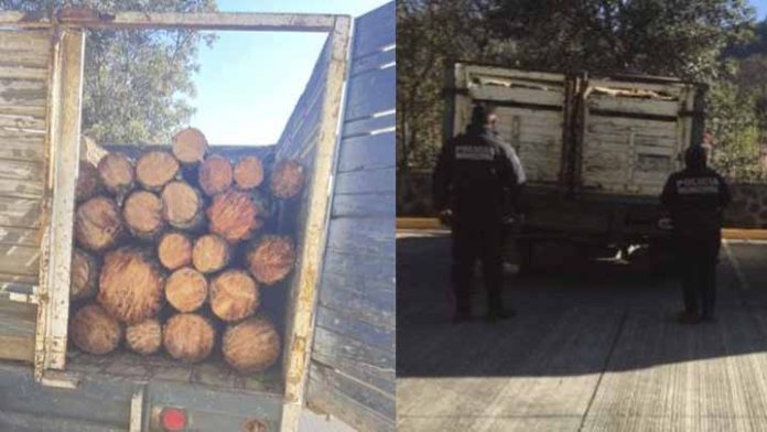Transportaban madera ilegal y los detiene la policía