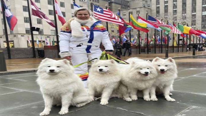 Viaja por el mundo con sus 4 perros, los lleva en avión