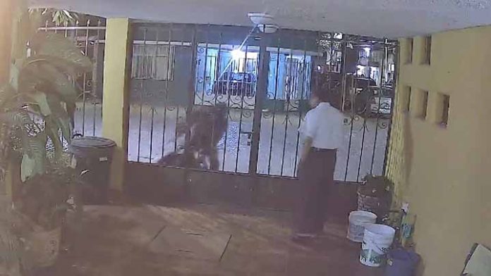 Secuestran a mujer a la vista de su vecino; nadie la ayuda