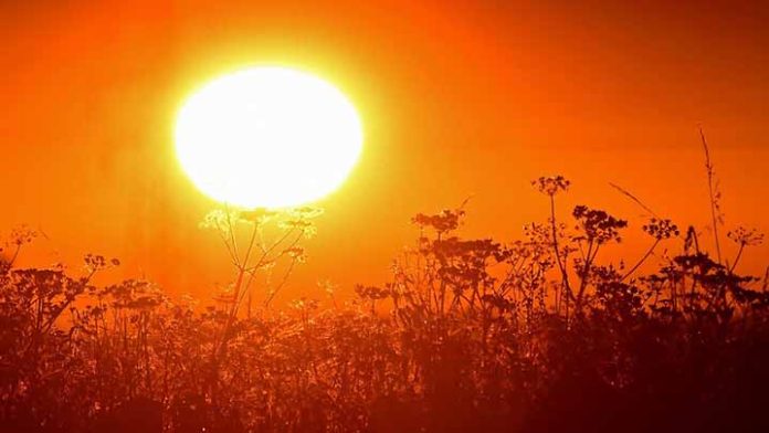 Ante golpe de calor la SSE invita a la ciudadania a prevenir la deshidratación