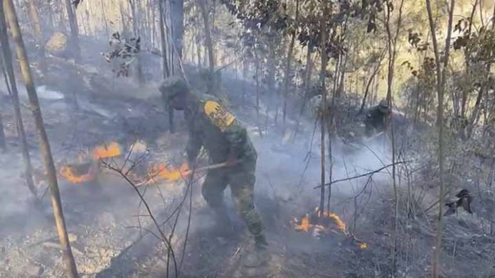 Ejército Mexicano aplica Plan DN-III-E para sofocar el incendio en Loma de Santa María
