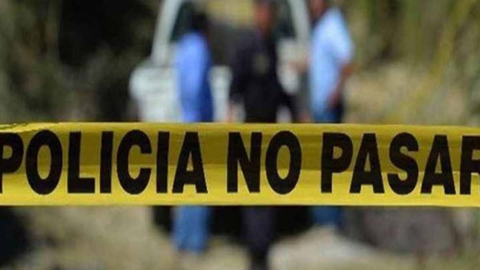 Localizan cuerpo humano que era devorado por perros